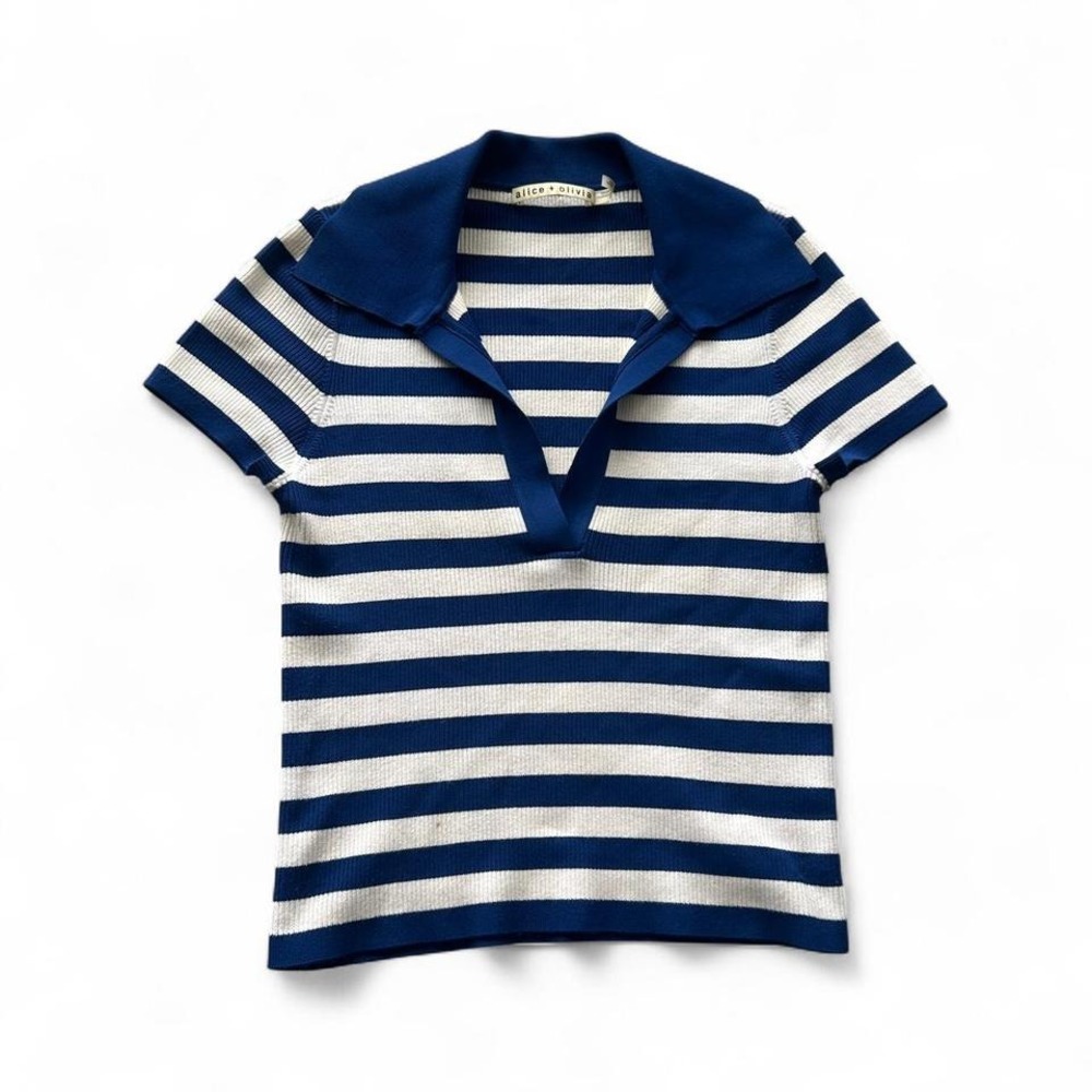 Alice + Olivia Blue/White Striped Top
